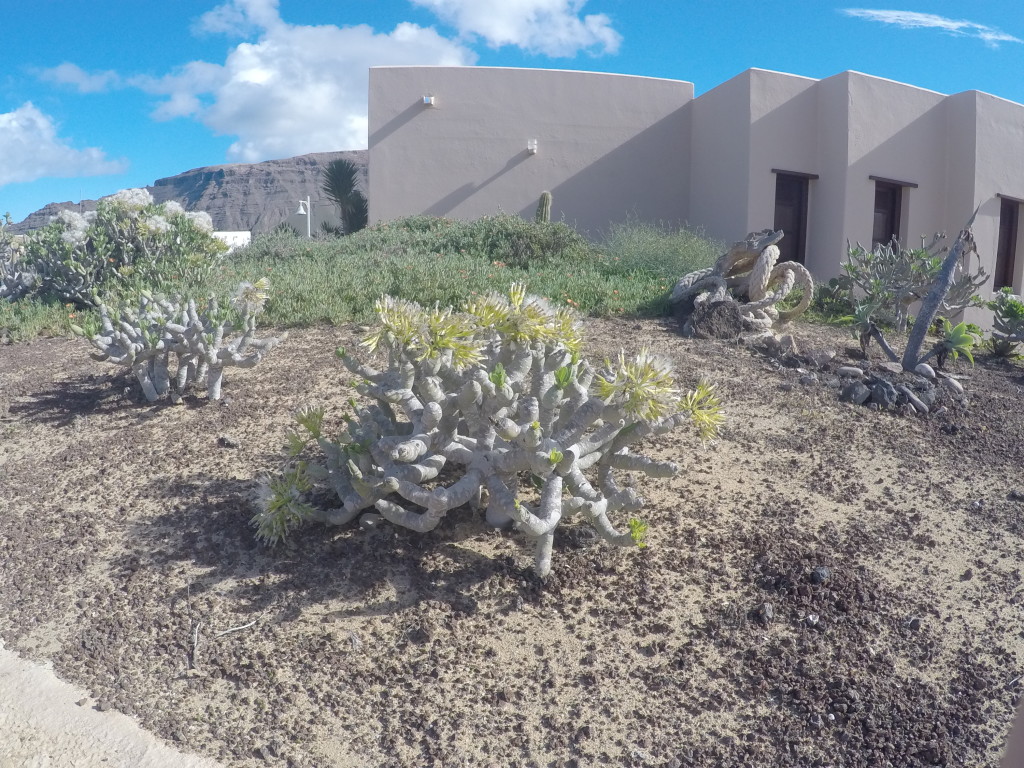 DCIM100GOPROGOPR1046.