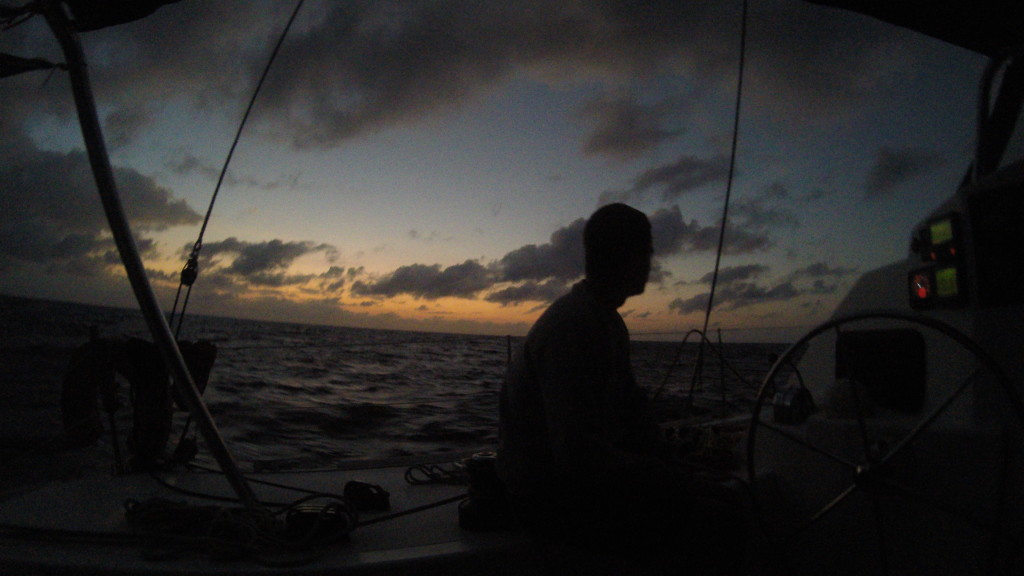 Wypatrując Mikołaja.