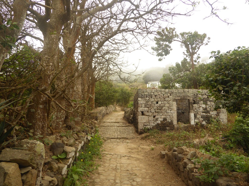 P1000385