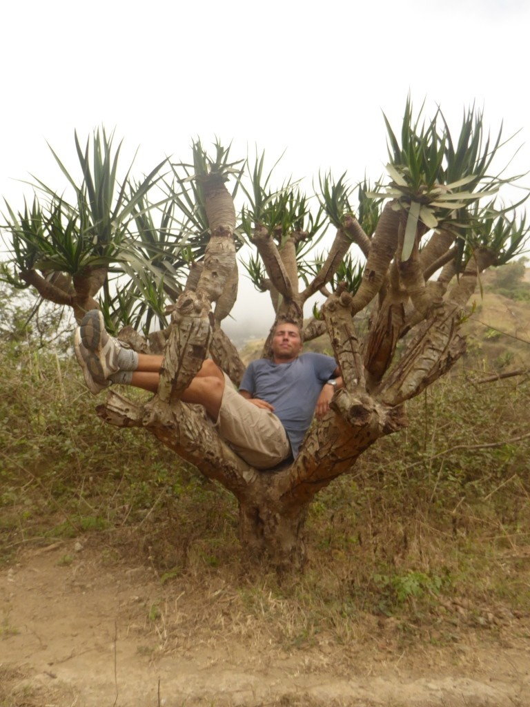 P1000397