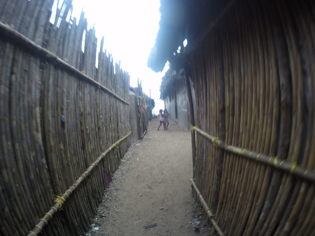 DCIM100GOPROGOPR5209.